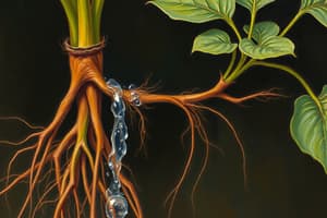 Plant Biology: Root Hair and Water Transport