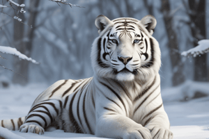 Snow Tiger Species