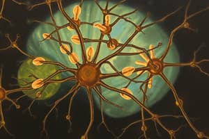 Neuroscience Quiz on Neurons and Glial Cells