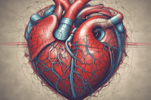 Anatomy of the Heart