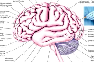 Neuroscience Vocabulary Quiz