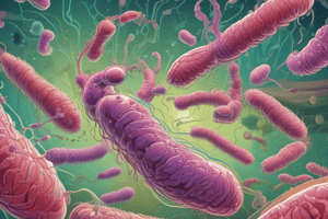 E. coli Infections and Characteristics