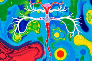 Endocrine System Overview