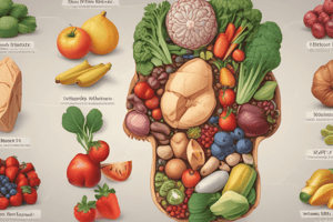 Macronutrients in Nutrition