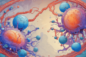 Phagocytosis Process: Cellular Defense