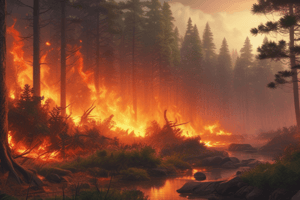 Exclusive Vegetation Fires 1.1: Concept and Classification