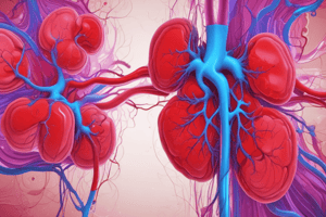 24.4 Blood Flow and Filtered Fluid Flow