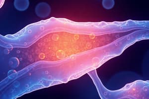 Epithelial Tissues Overview