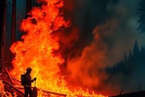 Herramientas en el Servicio de Bomberos Forestales