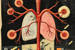 Endocrine System Overview