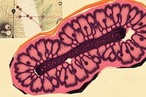 Histology Overview: Tissue Types and Functions