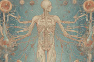 Muscarinic Agonists and the Parasympathetic Nervous System - Hernandez Block 1