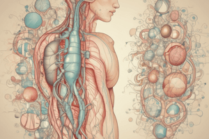 Endocrine System Overview