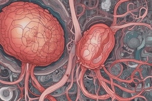 Physiology of the Urinary System Quiz