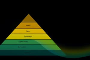 I Bisogni Fondamentali e la Piramide di Maslow