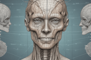 Cranial Nerves and Their Functions