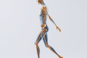 Movement Science Week 3 - Kinesiology Principles and Mechanics of Human Movement