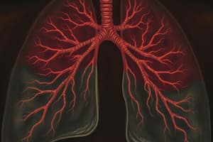 Gas Exchange Properties and Alveoli