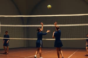 Regles de la Xarxa de Voleibol