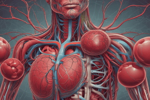 Circulatory System Basics