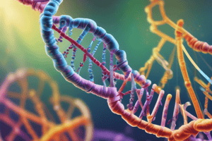 Transcription of mRNA: Initiation, Elongation, Termination