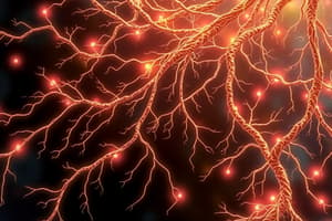 Nervous System Functions and Impulses