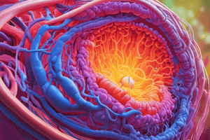 Fundamentals of Biology Quiz