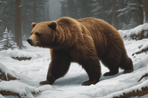 Bear Behavior Quiz