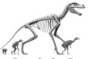 Fortpflanzung und Evolution bei Tieren