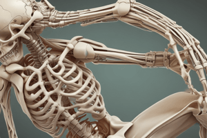 Anatomy of Synovial Joints