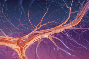 Peripheral Nerves and Axons Quiz