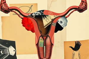 Reproductive System Overview