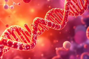 Enzymes in DNA Replication Flashcards