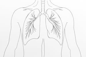 Composizione dell'Aria Alveolare e Respirazione (Fisiologia 47)