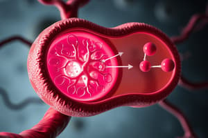 Cell Respiration and Photosynthesis Quiz