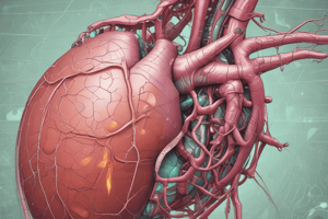 Human Liver Function and Bile Production