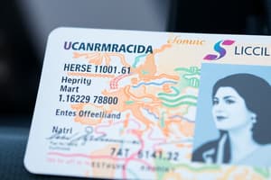 Permiso y Licencia de Conducción en España