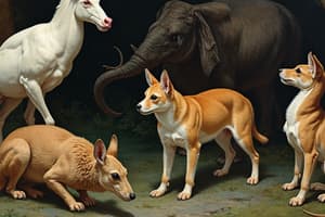 Animal Kingdom: Chapter 4 Classification