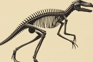 Arti dei Vertebrati: Evoluzione