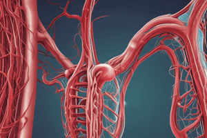 Peripheral Vascular System Assessment