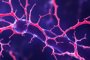 Membrana Plasmática Neuronal