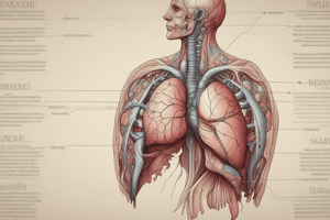 Anatomy and Functions of the Liver