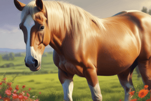 Horse Diet Basics