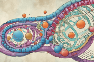 Cell-Free Protein Synthesis