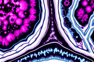 Four Basic Types of Tissues