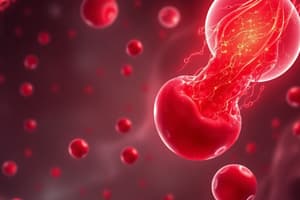 Understanding Anaemia and Full Blood Count (FBC)