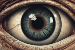 Anatomy of the Human Eye