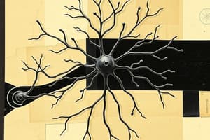 Nervous System: Neuron Types and CNS/PNS