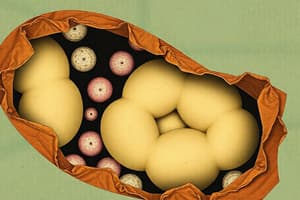 Adipocyte Types: White vs Brown Cells