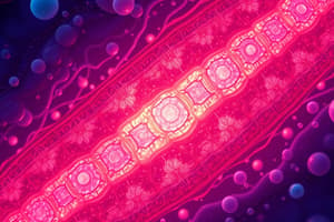 Classification of Epithelia Quiz